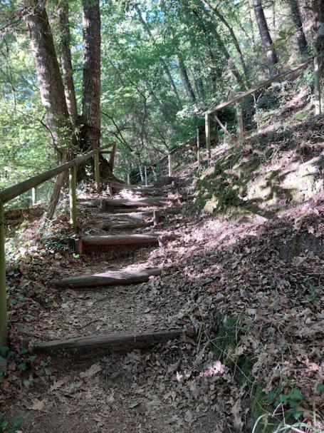 O Recuncho Da Isa - Ribeira Sacra Villa Pereiro de Aguiar Dış mekan fotoğraf
